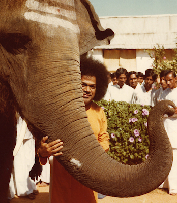 Beloved Bhagawan Sri Sathya Sai Baba